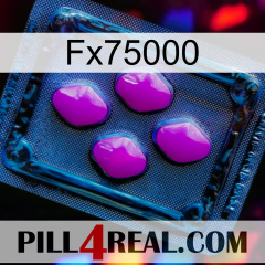 Fx75000 04